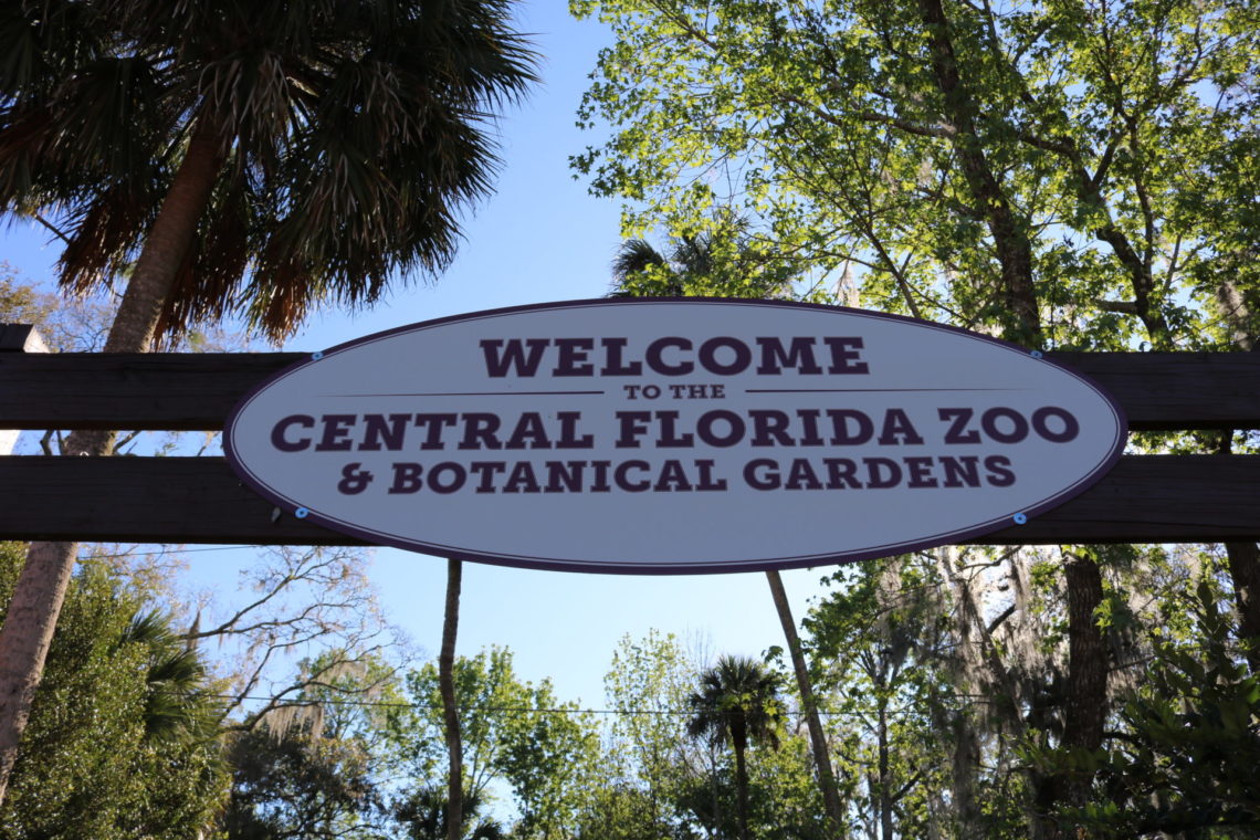 Our Adventure to the Central Florida Zoo - Elizabeth From Scratch